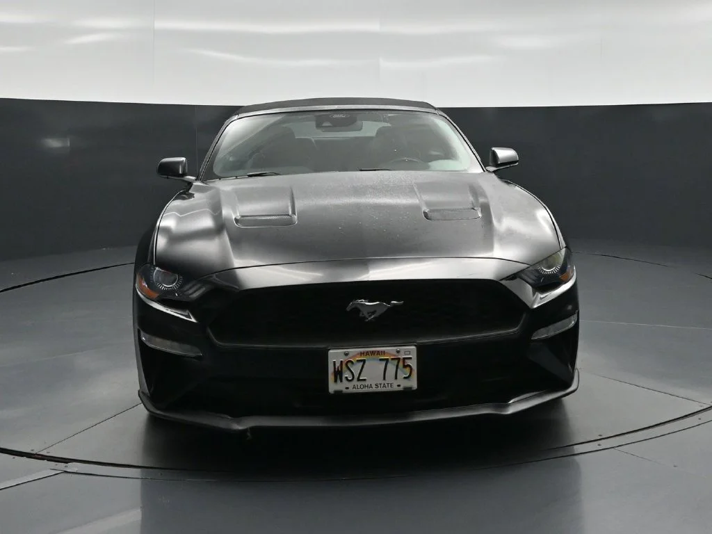 Certified Used 2023 Black Ford EcoBoost Premium image 18