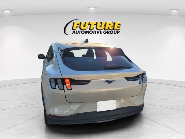 Used 2024 White Ford Select image 4