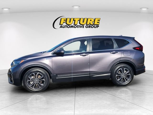 Used 2020  Honda EX-L image 6
