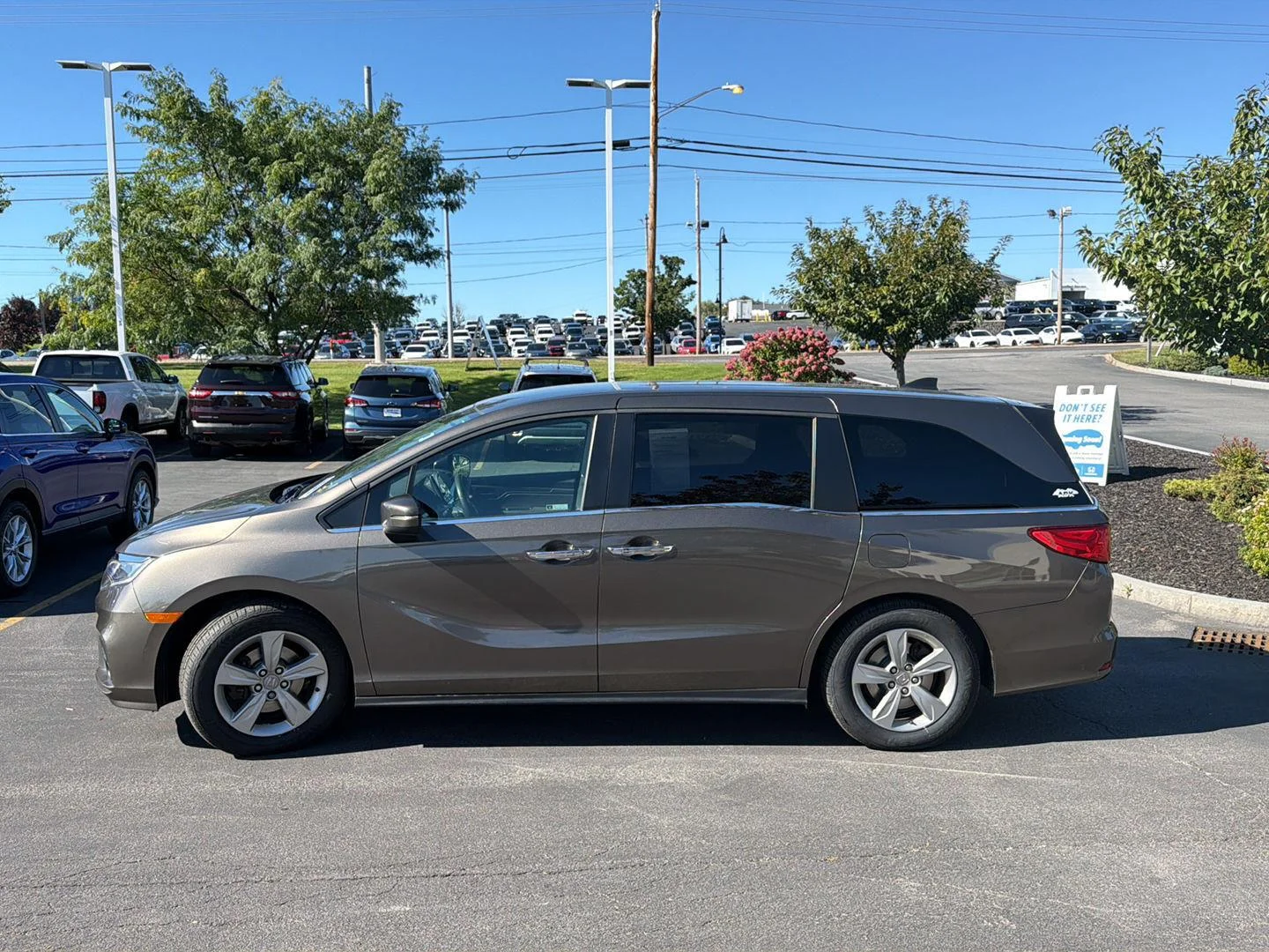 Used 2019 Pacific Pewter Metallic Honda EX image 4