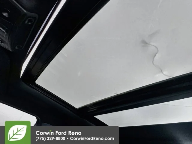 Used 2019 Magnetic Ford Raptor image 25