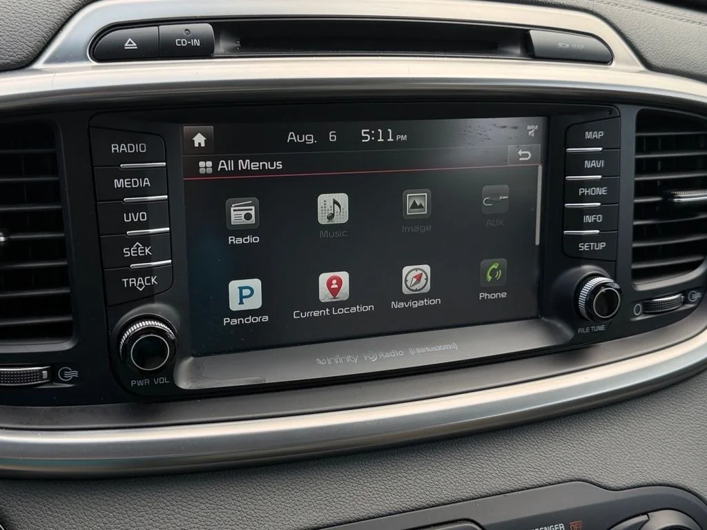 Used 2016 Titanium Silver Kia SX image 25