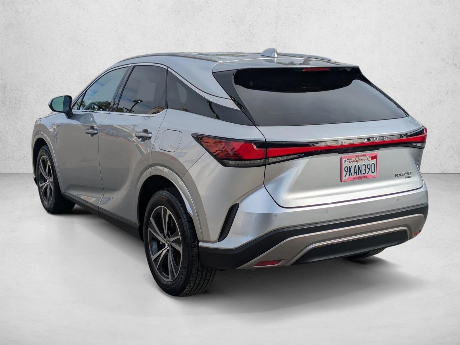 2024 Lexus RX 350 - Photo 8