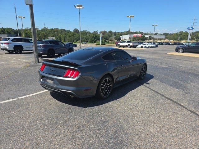 Used 2019 Gray Ford EcoBoost image 3