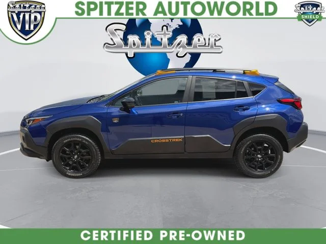 Used 2024 Blue Subaru Wilderness image 6