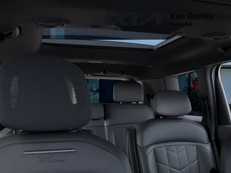 New 2027 Panthera Metal Matte Kia X-Line SX image 27