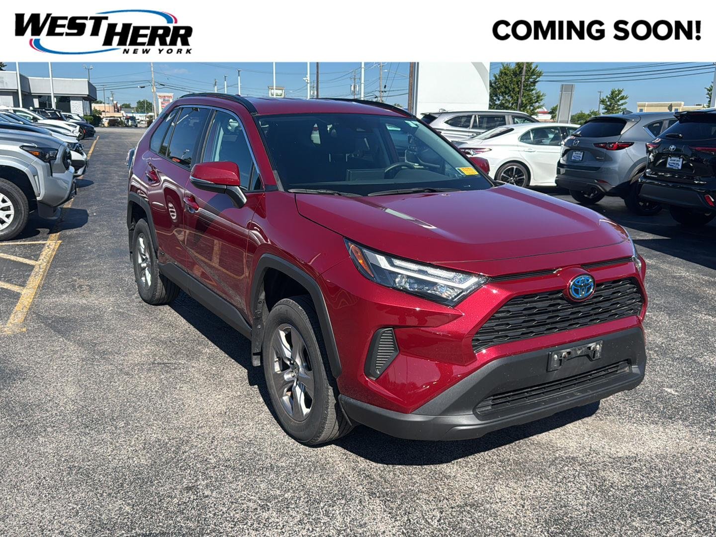 Used 2023 Ruby Flare Pearl Toyota Hybrid LE image 1