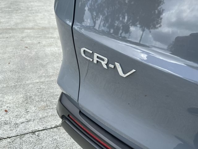 Used 2025 Gray Honda LX image 25