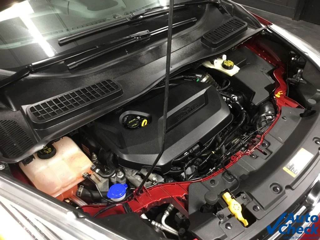 Used 2014 Red Ford Titanium image 41