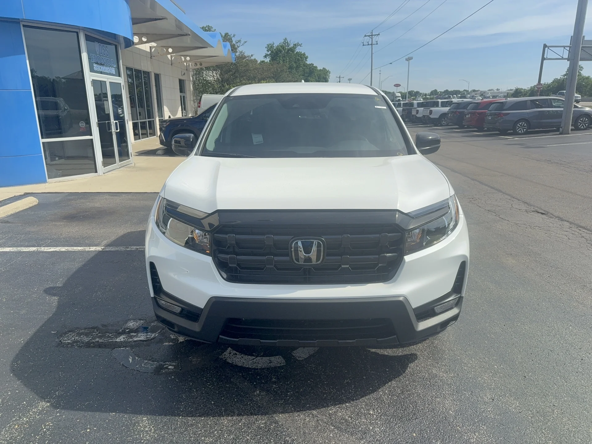 New 2026 Platinum White Pearl Honda Sport image 2