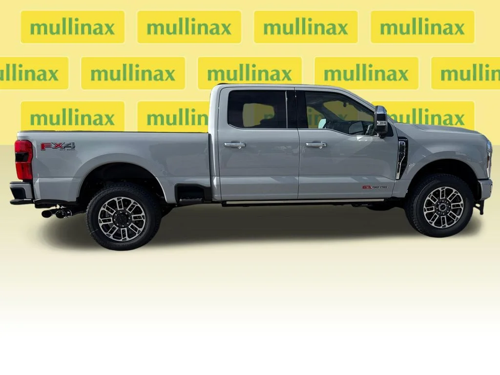 New 2026 White Ford Platinum image 18