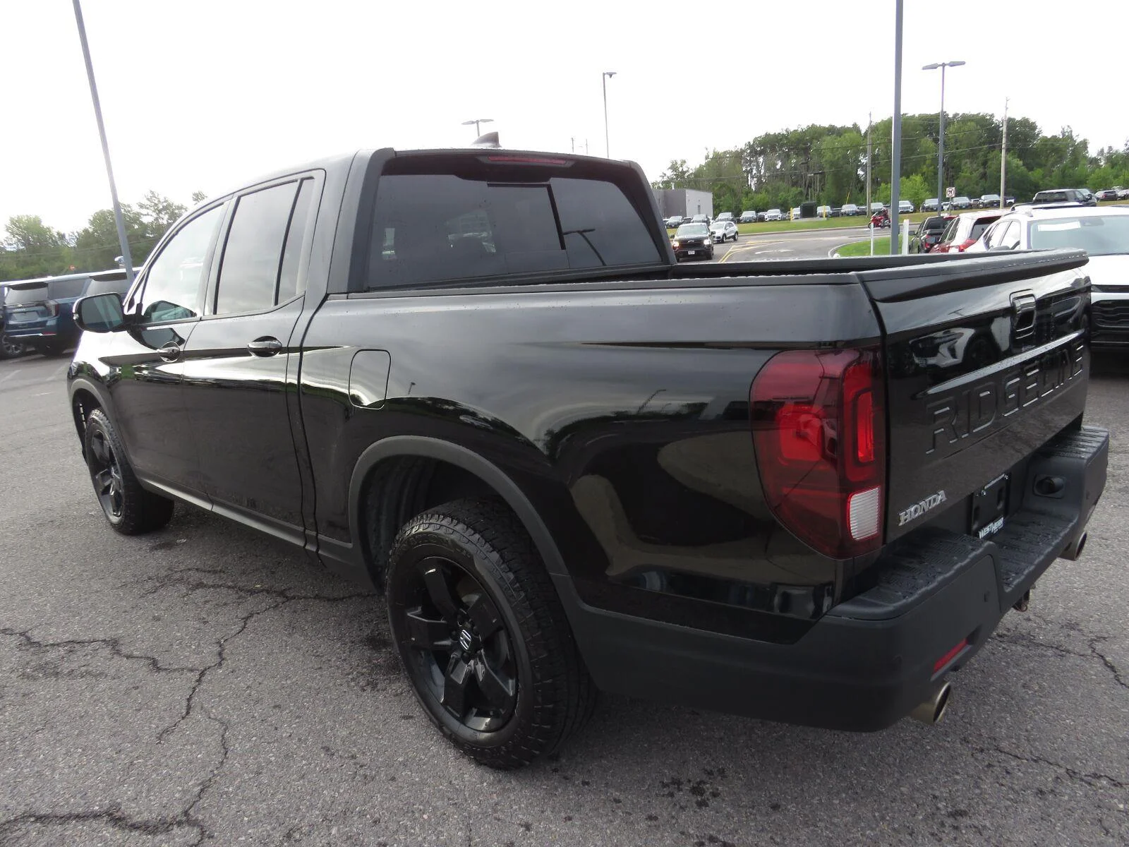 Used 2024  Honda Black Edition image 8