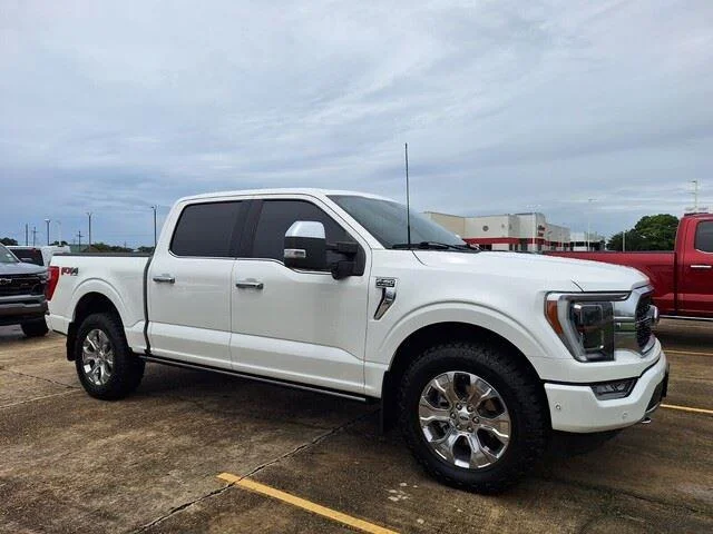 Used 2023 Agate Black Metallic Ford Platinum image 3