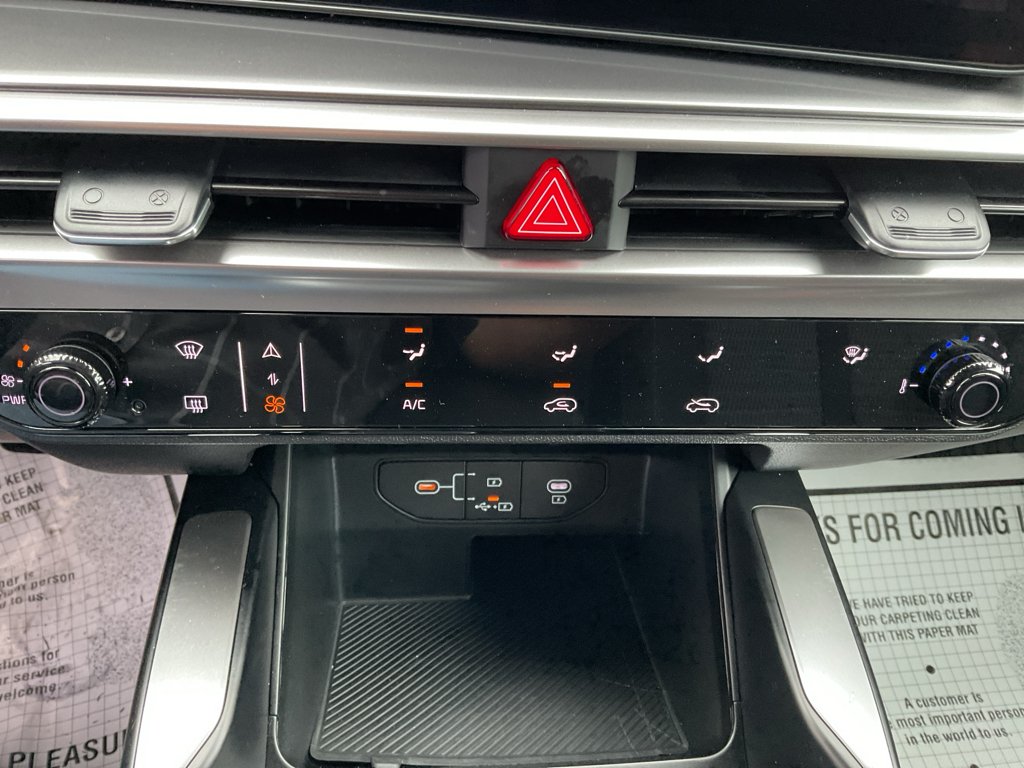 Used 2025 Panthera Metal Kia LX image 28