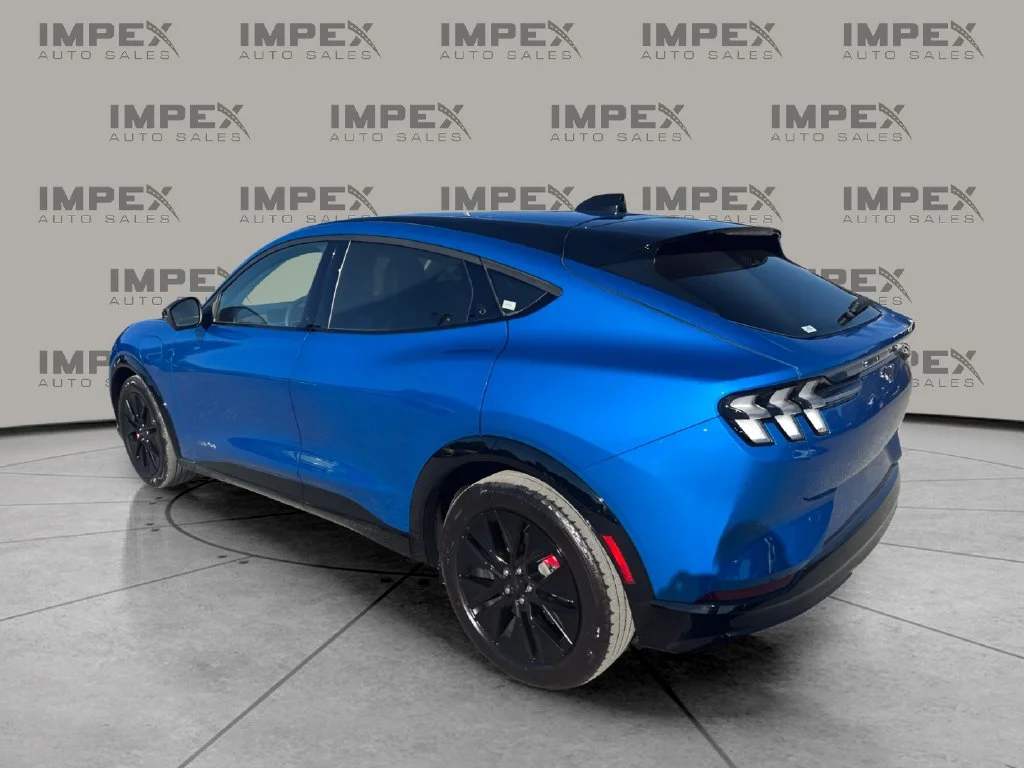 Used 2025 Blue Ford Premium image 3