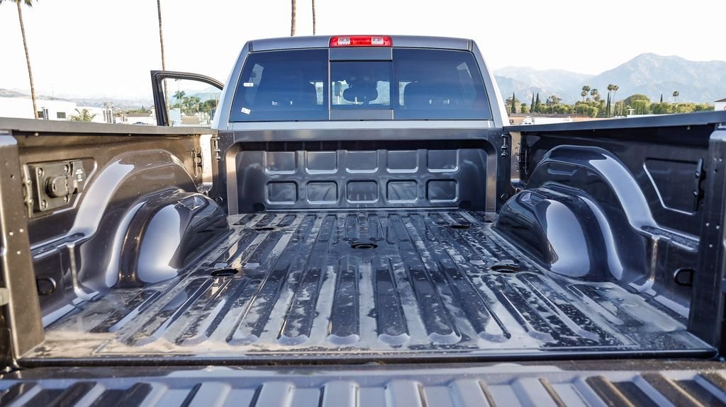 New 2026 Crystal Metallic Ram Black Express image 30