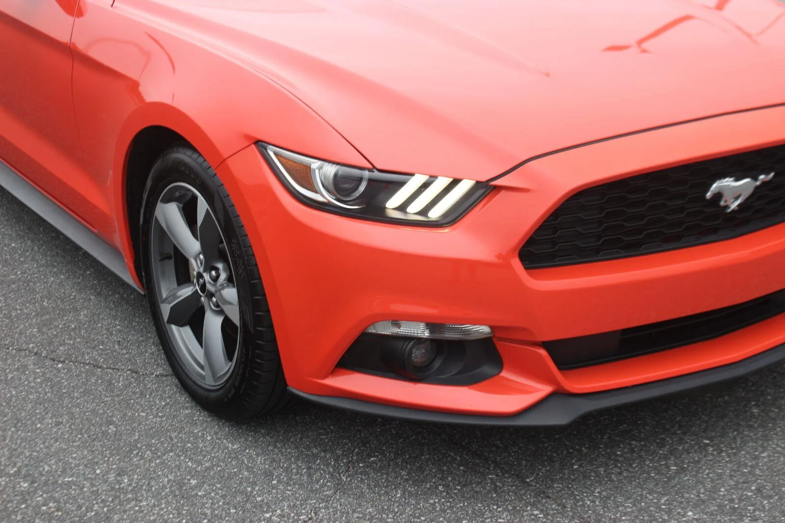 Used 2016  Ford V6 image 9