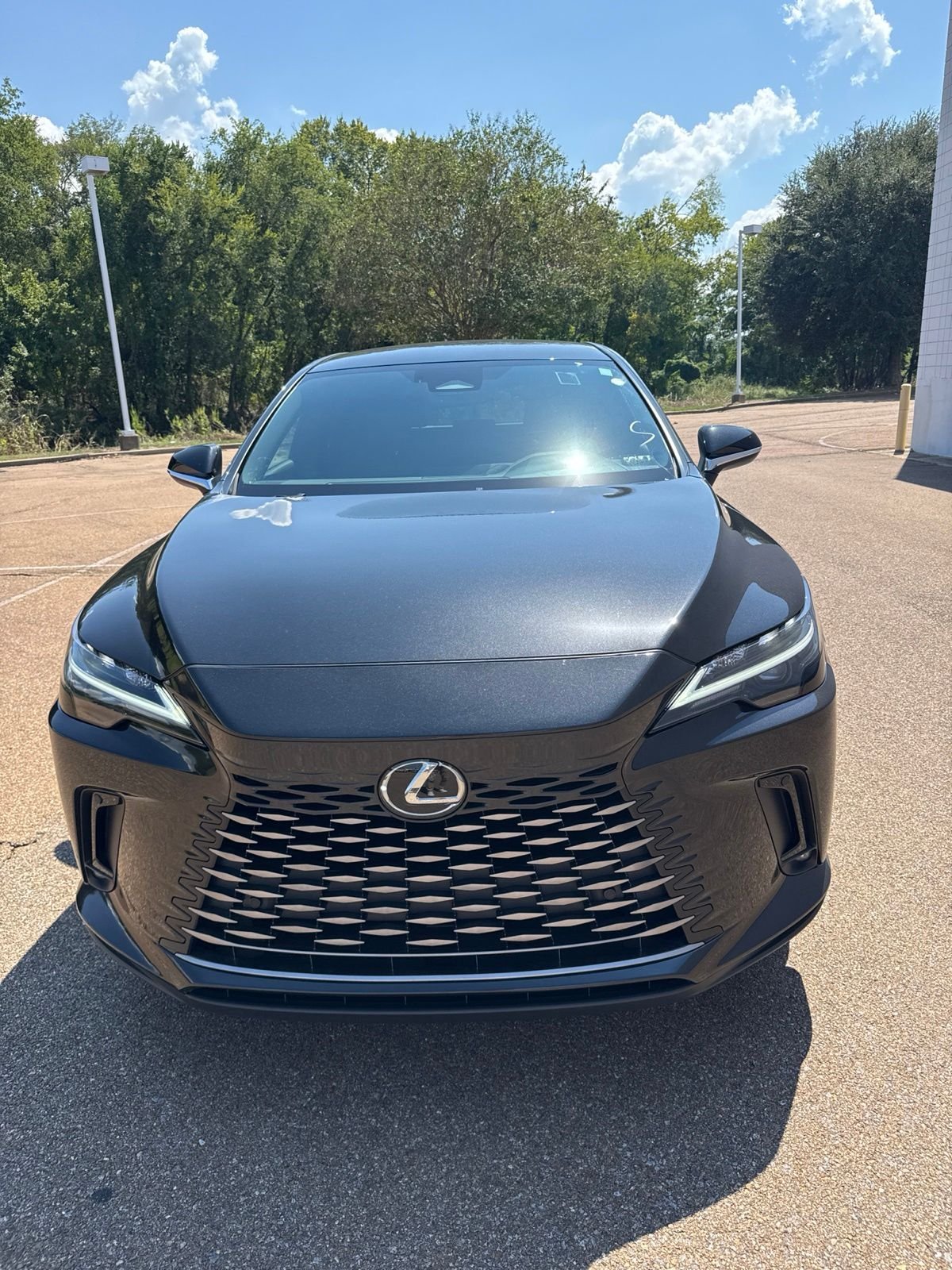 2024 Lexus RX 350 - Photo 17