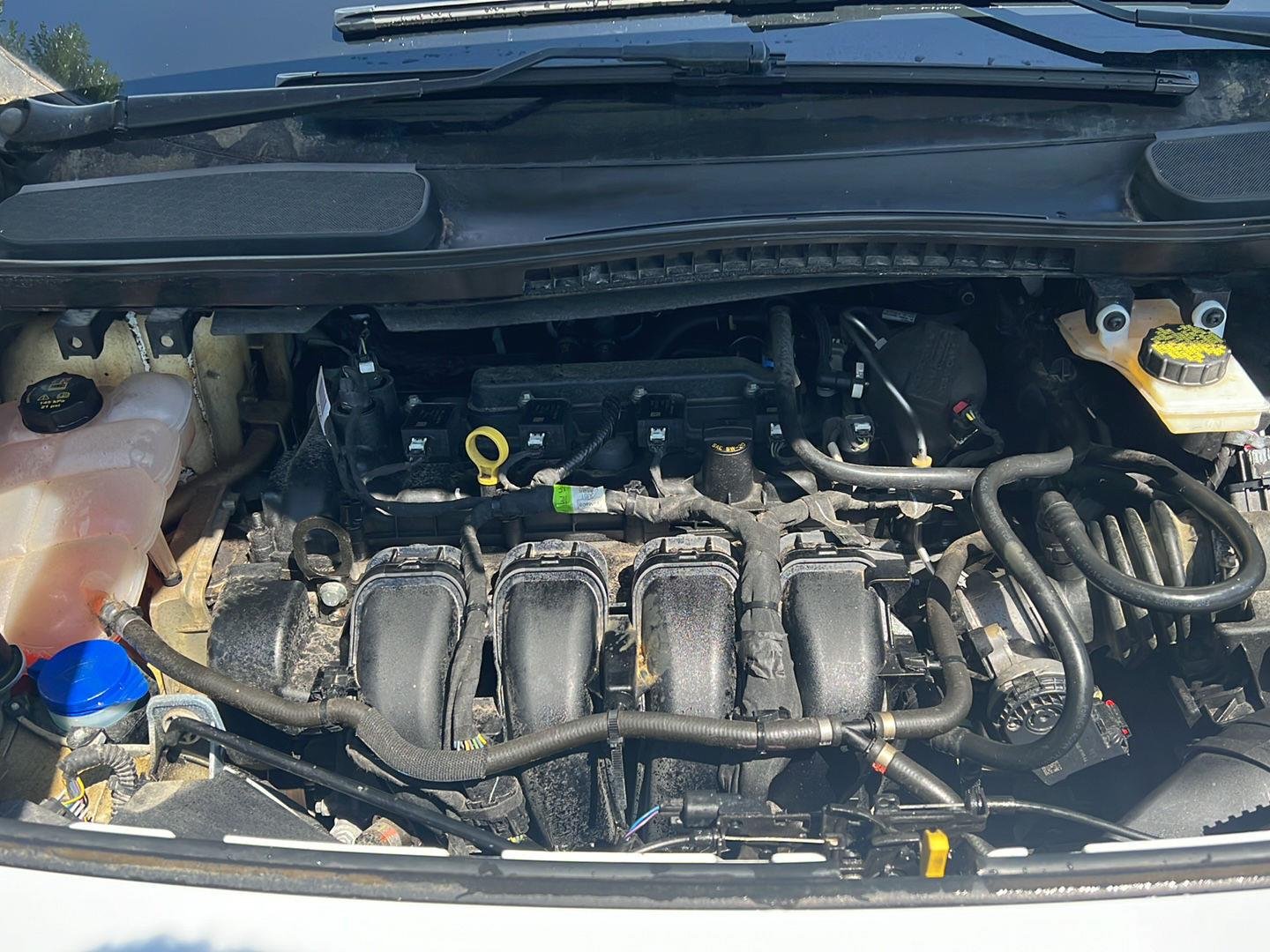 Used 2019 Frozen White Ford XL image 20