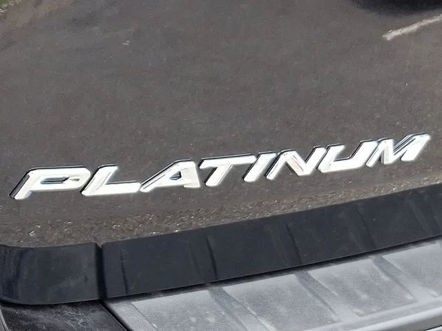 New 2026 Agate Black Metallic Ford Platinum image 15