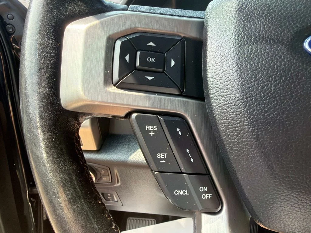 Used 2019 Black Metallic Ford Platinum image 30