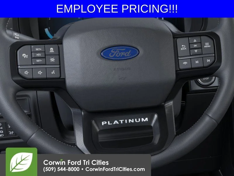 New 2026 Carbonized Gray Metallic Ford Platinum image 12