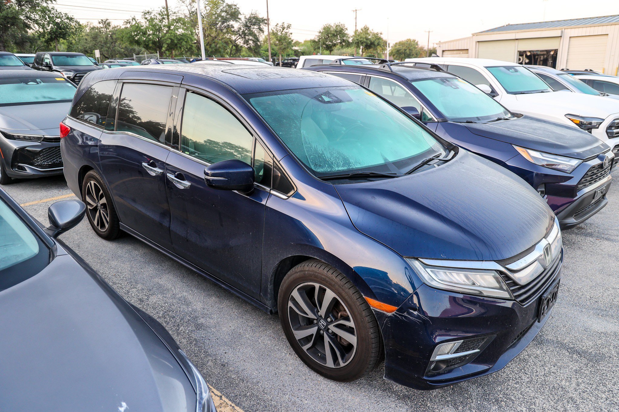 Used 2018 Blue Honda Elite image 6