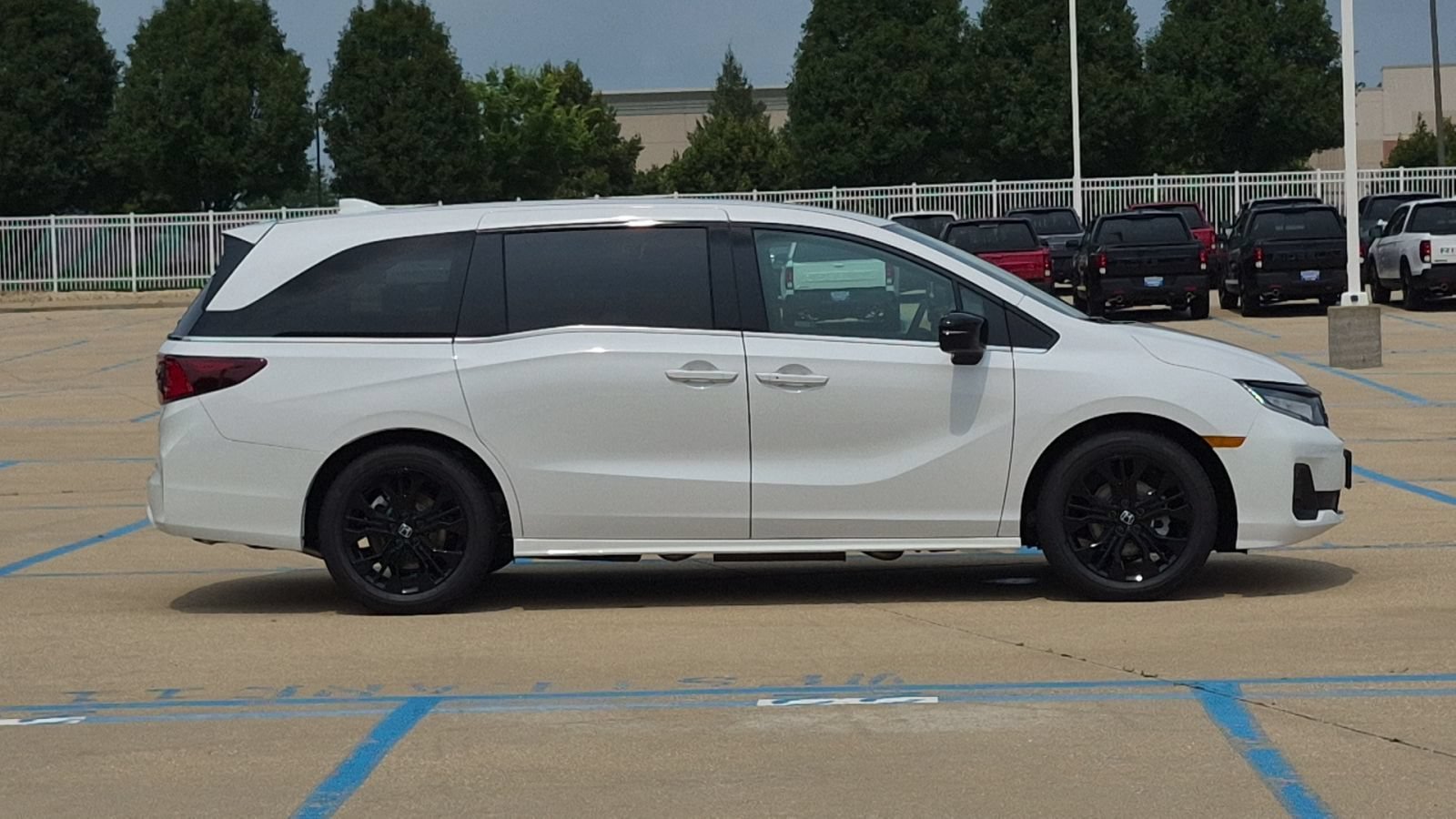 New 2026 Platinum White Pearl Honda Sport-L image 5