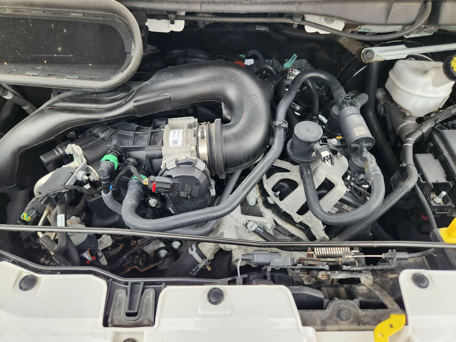 Used 2023 White Ford Base image 29
