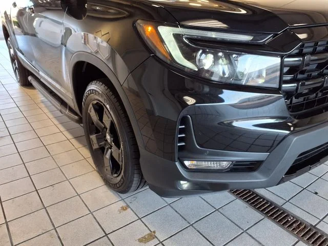 Certified Used 2024 Crystal Black Pearl Honda Black Edition image 24