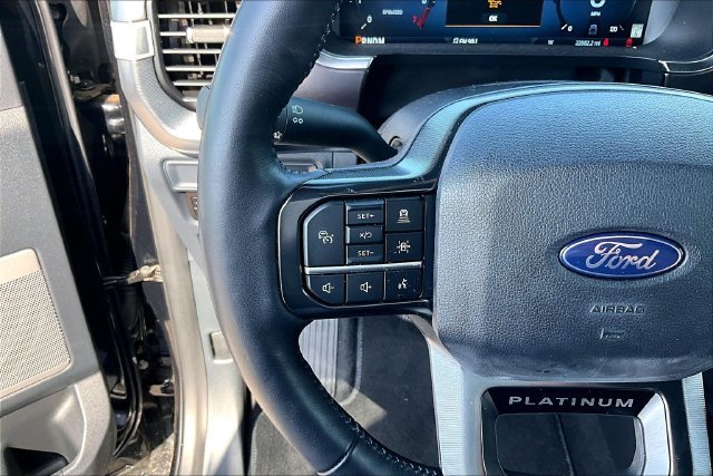 Used 2025 Black Ford Platinum image 15
