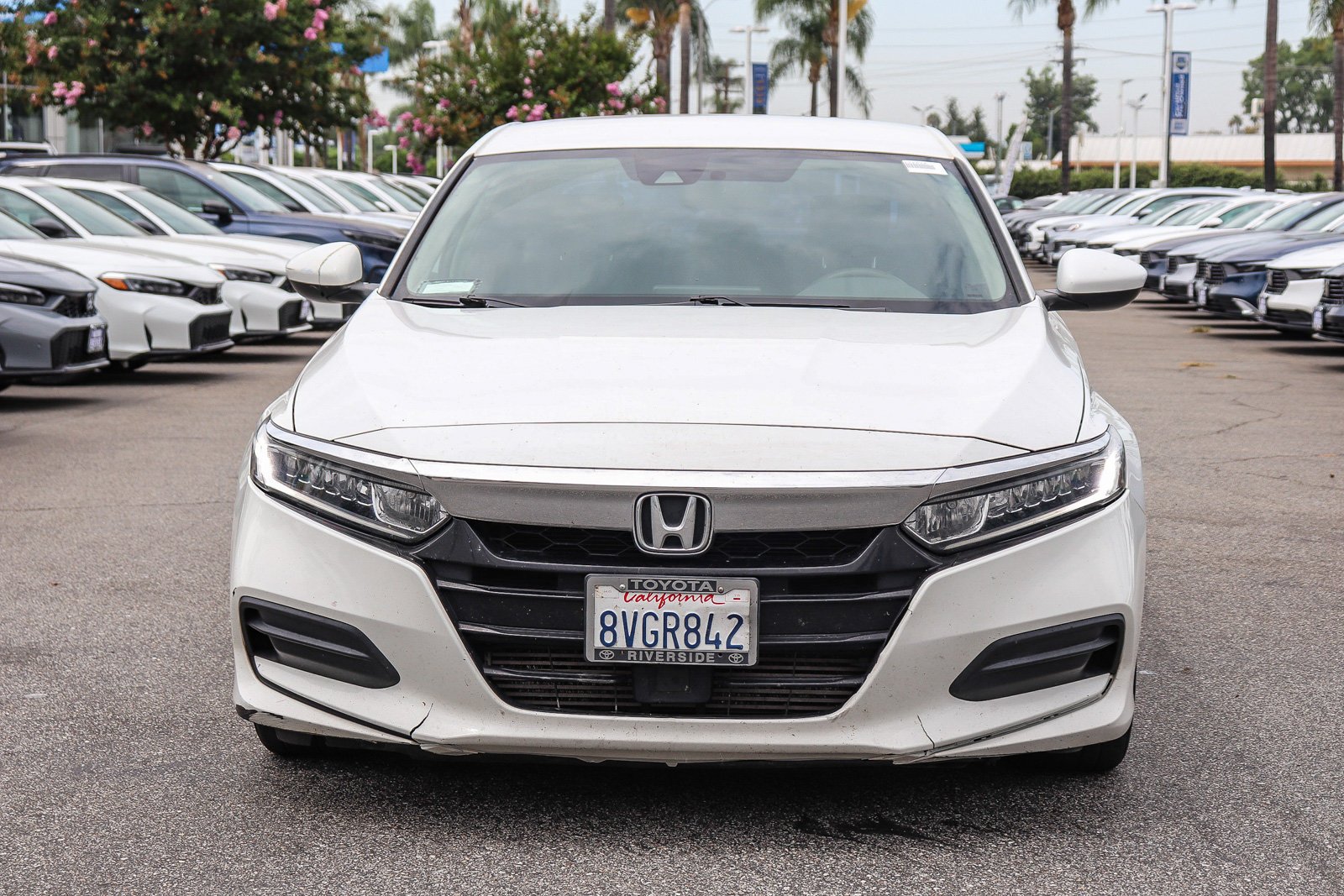 Used 2020 Platinum White Pearl Honda LX image 2