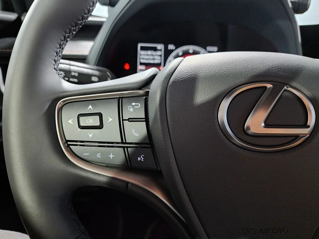 New 2026  Lexus 300h image 16