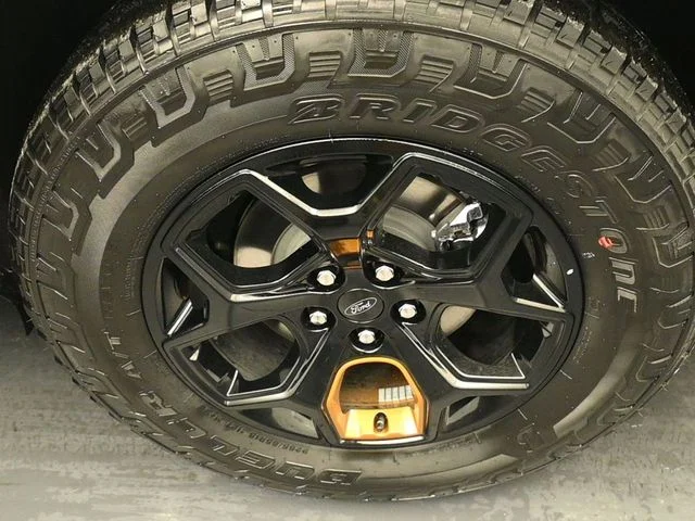 New 2026 Gray Ford Tremor image 9