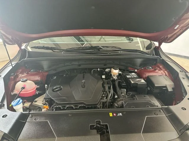 Used 2024 Red Kia S image 20
