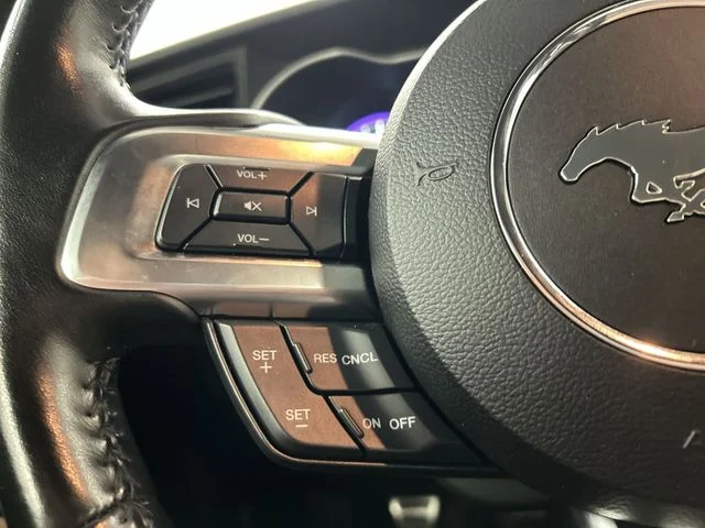 Used 2019 Black Ford GT Premium image 11