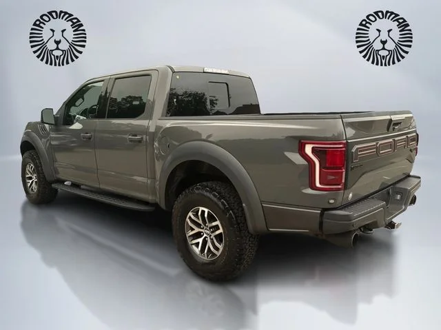 Used 2018 Lead Foot Ford Raptor image 9
