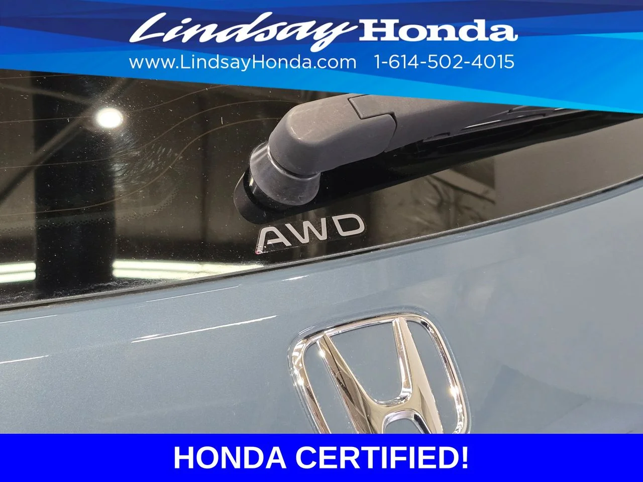 Certified Used 2024 Nordic Forest Pearl Honda Sport image 7