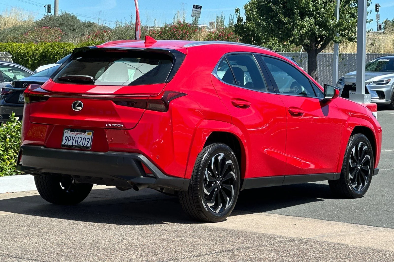 Used 2025 Red Line Lexus 300h Premium image 4