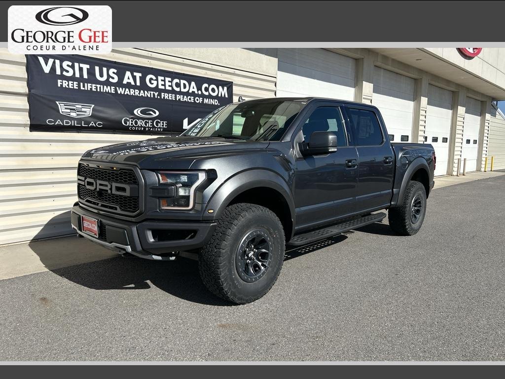 Used 2019 Magnetic Metallic Ford Raptor image 1
