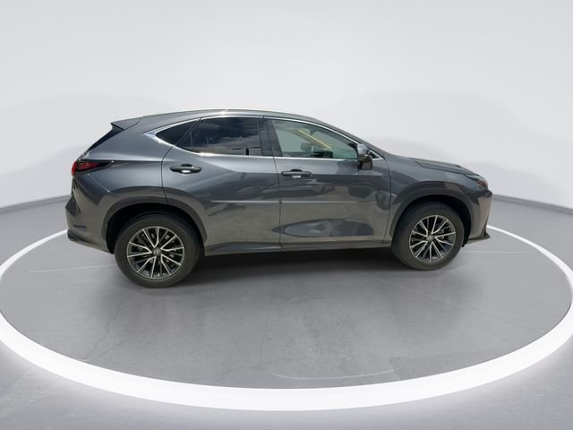 2025 Lexus NX 250 - Photo 9