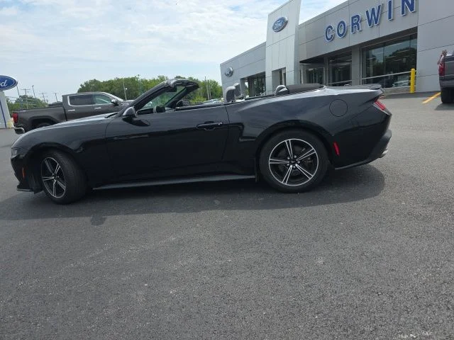 Used 2024 Shadow Black Ford EcoBoost Premium image 8