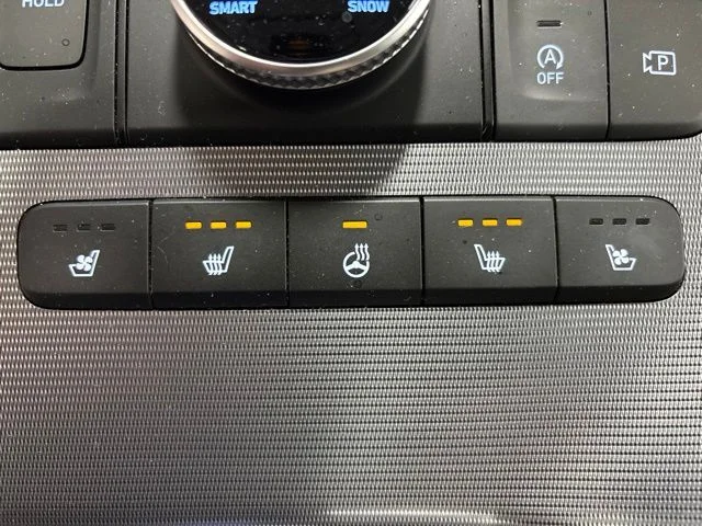 Used 2023 Black Hyundai Calligraphy image 31