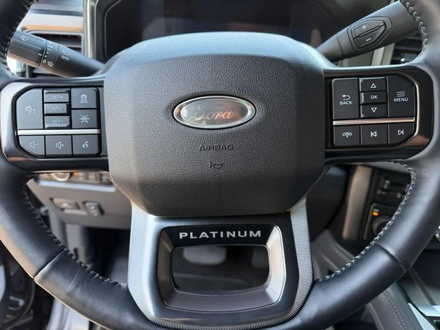 Used 2026  Ford Platinum image 22