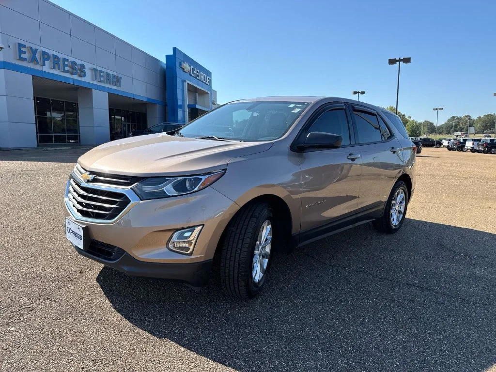 Used 2018 Beige Chevrolet LS image 3