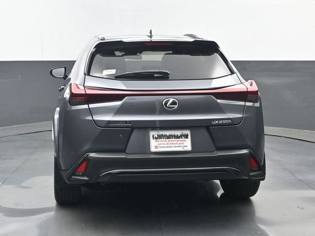 Used 2024 Obsidian Lexus 250h F SPORT Design image 19