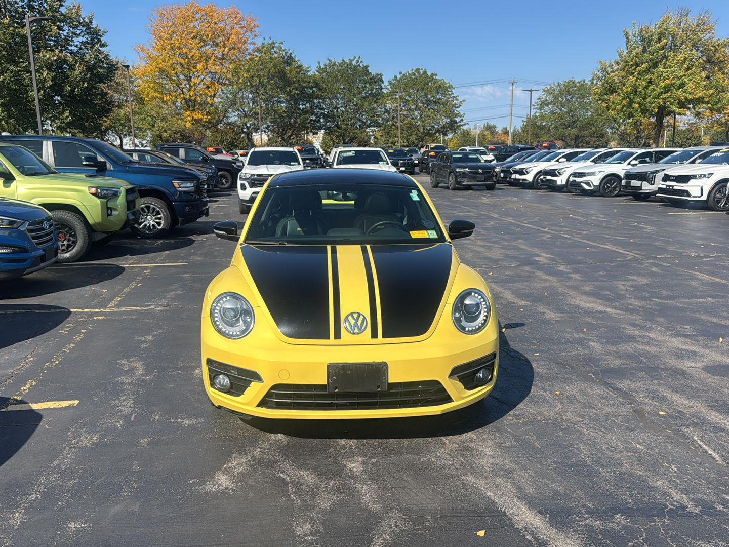 Used 2014 Yellow Rush/Black Volkswagen 2.0T Turbo GSR image 4