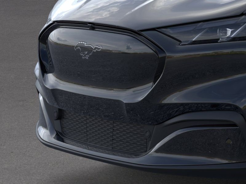 New 2026 Shadow Black Ford Premium image 17
