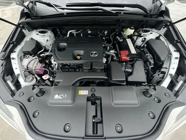 Used 2025 White Lexus 250 Premium image 27