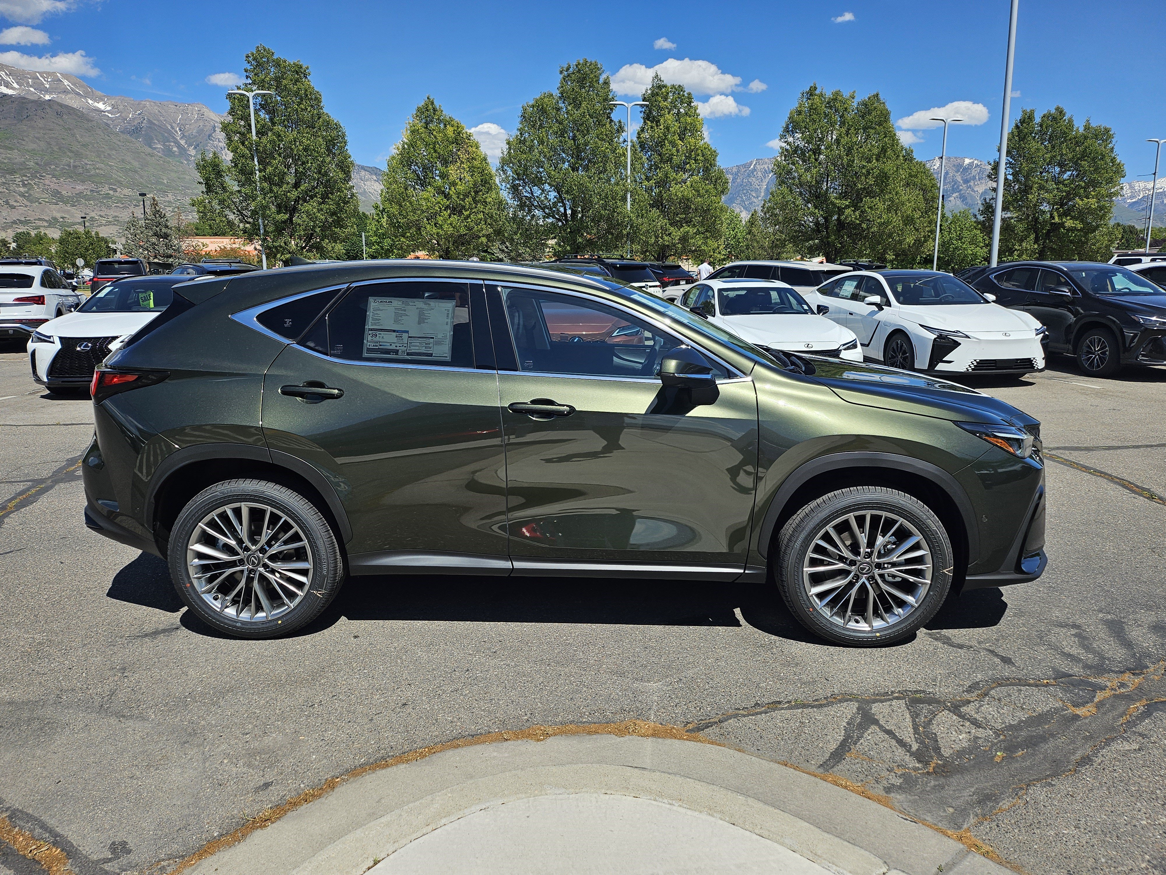 New 2026 Nori Green Pearl Lexus 350h Luxury image 4
